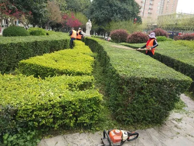 重庆园林绿化工程资质加盟费用