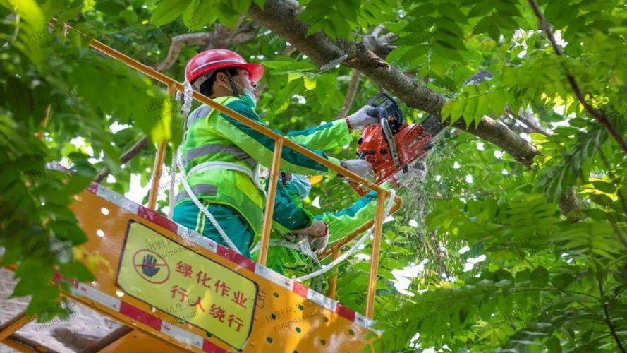 临汾市马务村绿化工程