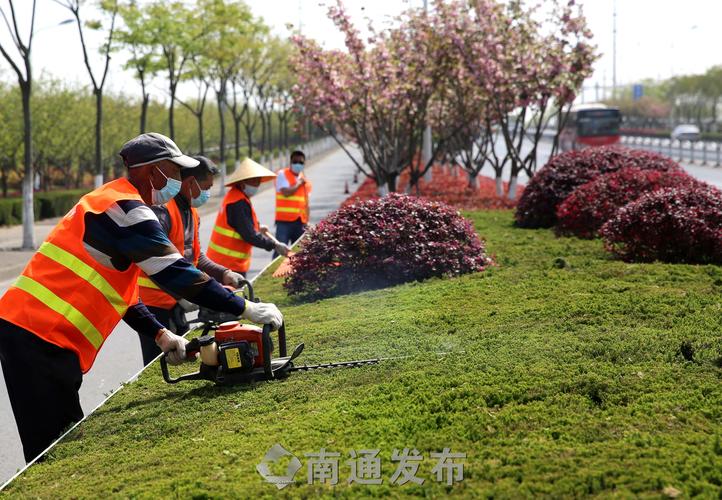 绿化养护的三大误区需要注意